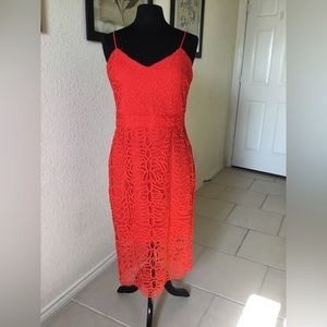 NWT Bisou Bisou Coral Dress, size 12